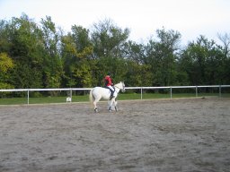 2011 Sommerturnering